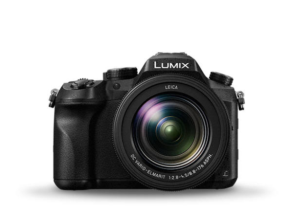 Panasonic LUMIX FZ2500 Digital Camera, 20.1 Megapixel